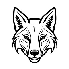 Coyote head vector illustration isolated on transparent background