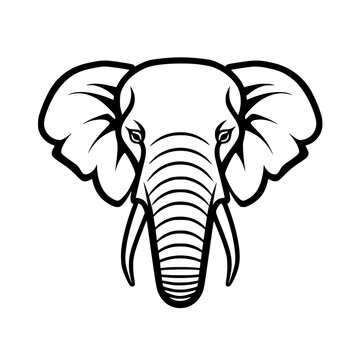 Elephant head vector illustration isolated on transparent background