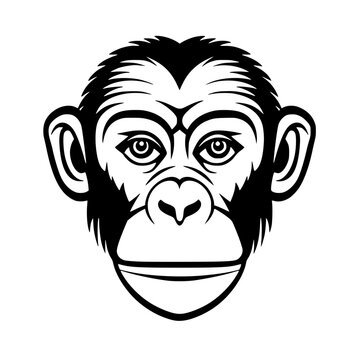 Monkey head vector illustration isolated on transparent background