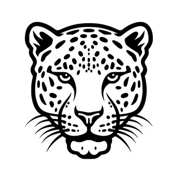 Jaguar head vector illustration isolated on transparent background