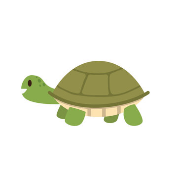 Concept Hawaii beach turtle. The illustration depicts a flat and cartoon-style image of a turtle on a white background with a concept of Hawaii beach. Vector illustration.