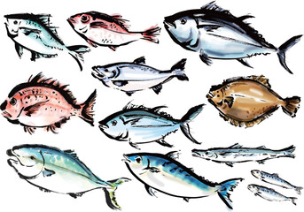 いろいろな手描きの魚の集合　和風筆書きの魚