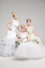 Fototapeta na wymiar fashionable blonde brides