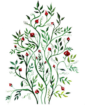  watercolor abstract green branch with leaves and red berries and flowers illustration. Hand painted holiday Floral greenery isolated 