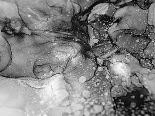 Abstract black and white background, wallpaper. Mixing acrylic paints. Modern art. Alcohol ink colors translucent. Alcohol Abstract contemporary art fluid.