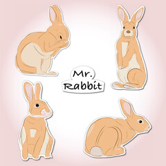 Animal - Mister Rabbit Sticker