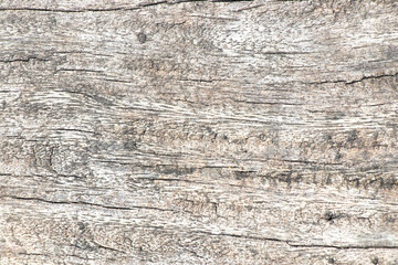 Grunge old brown wood textured background for decoration with copy space