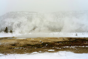 Winter Snowing Geothermal Pool Yellowstone