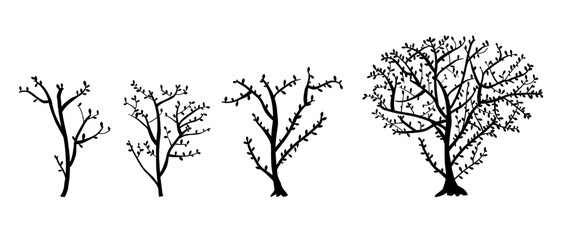 simple vector silhouette tree branch and leaf, hand draw sketch set 4