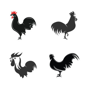Rooster logo icon vector and symbol template