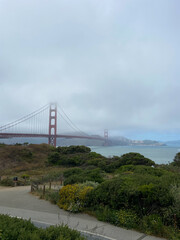 San Francisco, California, USA, June 29, 2022: The Golden Gate Bridge from the Battery East Vista overlook at Presidio of San Francisco.