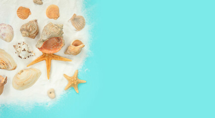 Fototapeta na wymiar Colorful summer banner with seashells and starfish with sand on a blue background. Top view summer composition with copy space. Seaside vacation concept, background