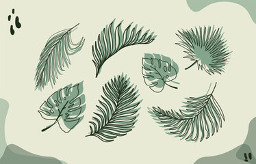 Exotic tropical leaves. Monstera plant leaves, banana plant and green tropical palm leaves,
tropical leaf vector illustration.