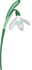 Single white snowdrop flat style isolated on white background