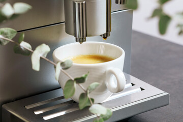 Fresh hot espresso pouring from coffee machine. Professional coffee brewing. Cup of natural espresso with eucalyptus branches. Coffee break. Good morning. Soft focus