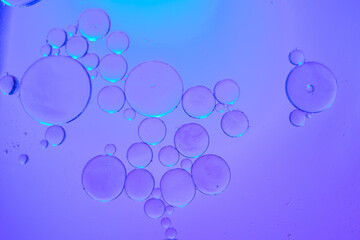 bubble 4