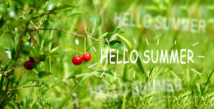 Ripe red cherry berry on a tree. Selective focus. Hello Summer text
