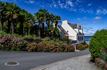 Picturesque Alley Of Finistere Village Landevennec In Nature Park Amorique In Brittany, France