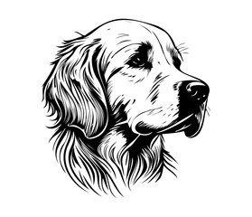 Golden Retriever, Silhouettes Dog Face SVG, black and white Golden Retriever vector