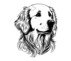 Golden Retriever, Silhouettes Dog Face SVG, black and white Golden Retriever vector
