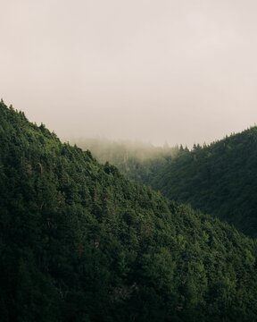 Vertical aerial view of mountains covered with green forests on a foggy day © Rachelmcgrath/Wirestock Creators
