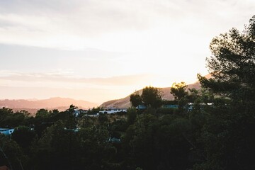 Aerial shot of houses in a countryside and green trees under the pink sky at sunset