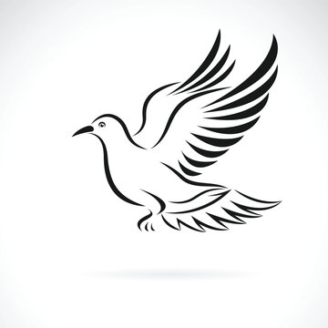 Vector of a pigeons are flying on white background. Easy editable layered vector illustration. Birds. Animals.
