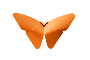 Orange paper butterfly origami isolated on a white background