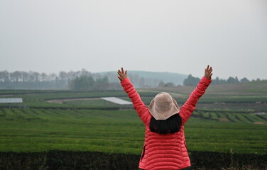 An Asian woman travels in to admire atmosphere of  tea fields in misty morning. Happy woman wears Wears red duck down coat, brown wide-brimmed hat with both arms extended in front of a tea plantation. - Powered by Adobe