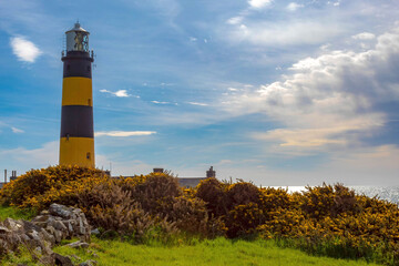 Built in 1844, St. John’s Point Lighthouse, the tallest onshore lighthouse on the Island of Ireland - obrazy, fototapety, plakaty