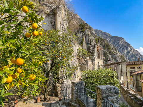 Limonaia del Cast&eacute;l - Limone am Gardasee