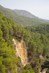 Pine Tree and Peaks in Aixorta Mountain Range; Guadalest; Alicante; Spain