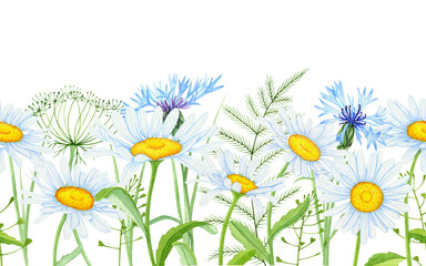 Seamless border of wildflowers on a white background. Watercolor flower border.
