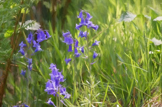 Digital painting of sunlit purple bluebell flowers against a natural green background, using a shallow depth of field.