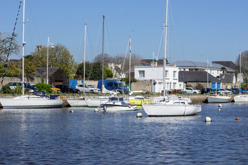 boats in marina
