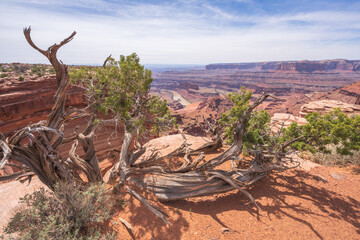 hiking the dead horse trail in dead horse point state park in utah, usa