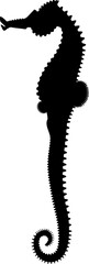 seahorse vector silhouette black one