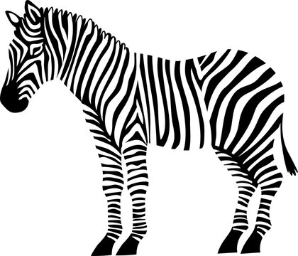 zebra striped vector silhouette black one