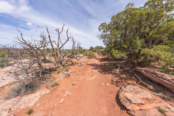 hiking the dead horse trail in dead horse point state park in utah, usa