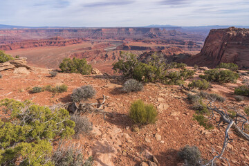 hiking the dead horse trail in dead horse point state park in utah, usa