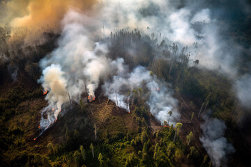 Rain Forest burning, Climate Change consequences, Environment protection, AI generated