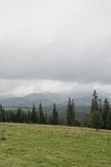 View of field, grass field, forest, hills