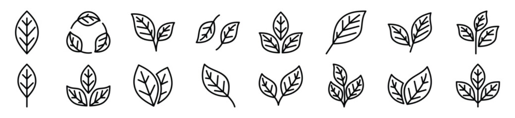 Leaf icons vector set in line style. Leaves, ecology, tea, nature, green plant sign and symbol on white background. Vector illustration