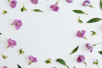 Fototapeta na wymiar Blank frame with blank mockup copy space made of elegant purple violet flowers and leaves. Flat lay, top view brand, blog, website, social media template