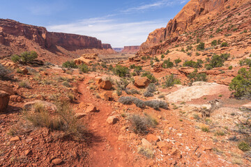 hiking the syncline loop trail in island in the sky district of canyonlands national park, utah, usa