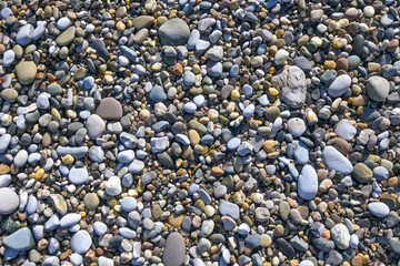 Piedras y cantos rodados de diferentes colores y tamaños sobre la arena de la playa al sol