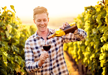Millennial handsome winemaker pouring red wine into wine glass outddors on a vine hill