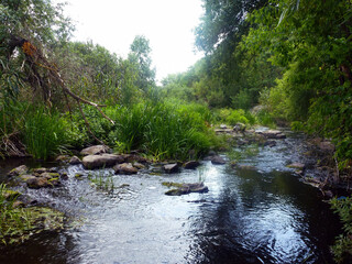 A beautiful small park river is decorated with stones along the banks. Natural landscape garden. Nature concept for design.