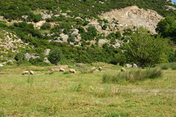 Kapidag Peninsula, located in Balikesir, Turkey, is an important natural region. It contains beautiful villages.