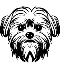 Maltese, Silhouettes Dog Face SVG, black and white Maltese vector